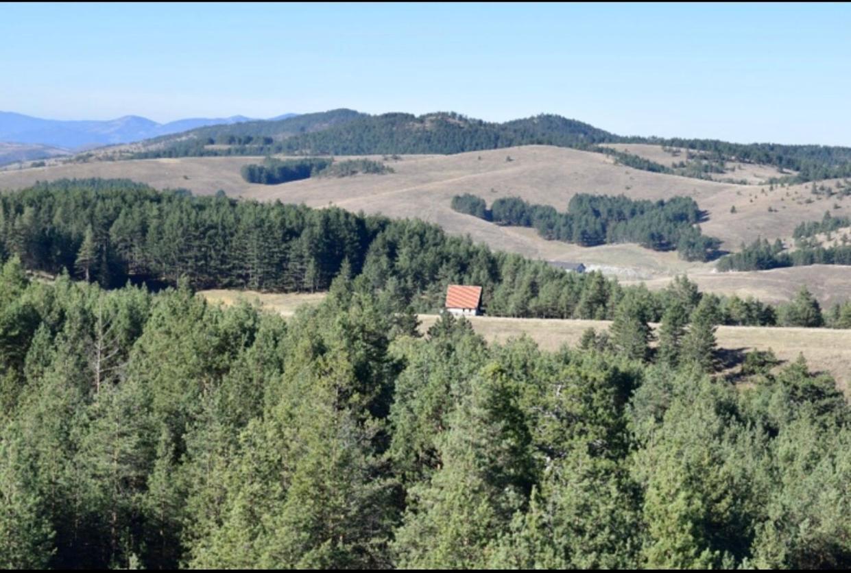 Ng Apartmani Tornik Златибор Экстерьер фото
